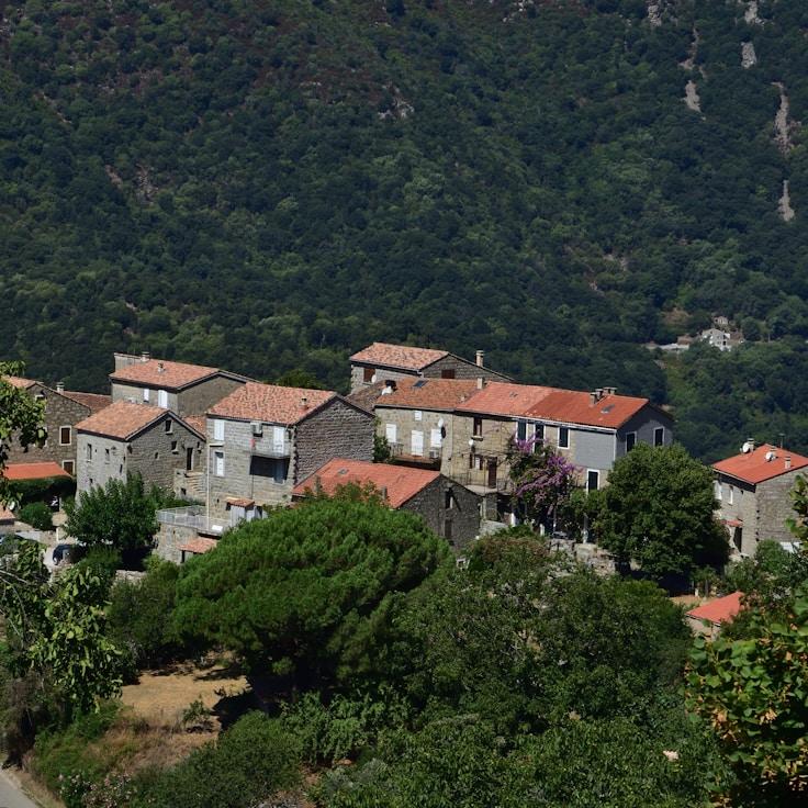 Family terraces and cafés for calm evenings in Toronto